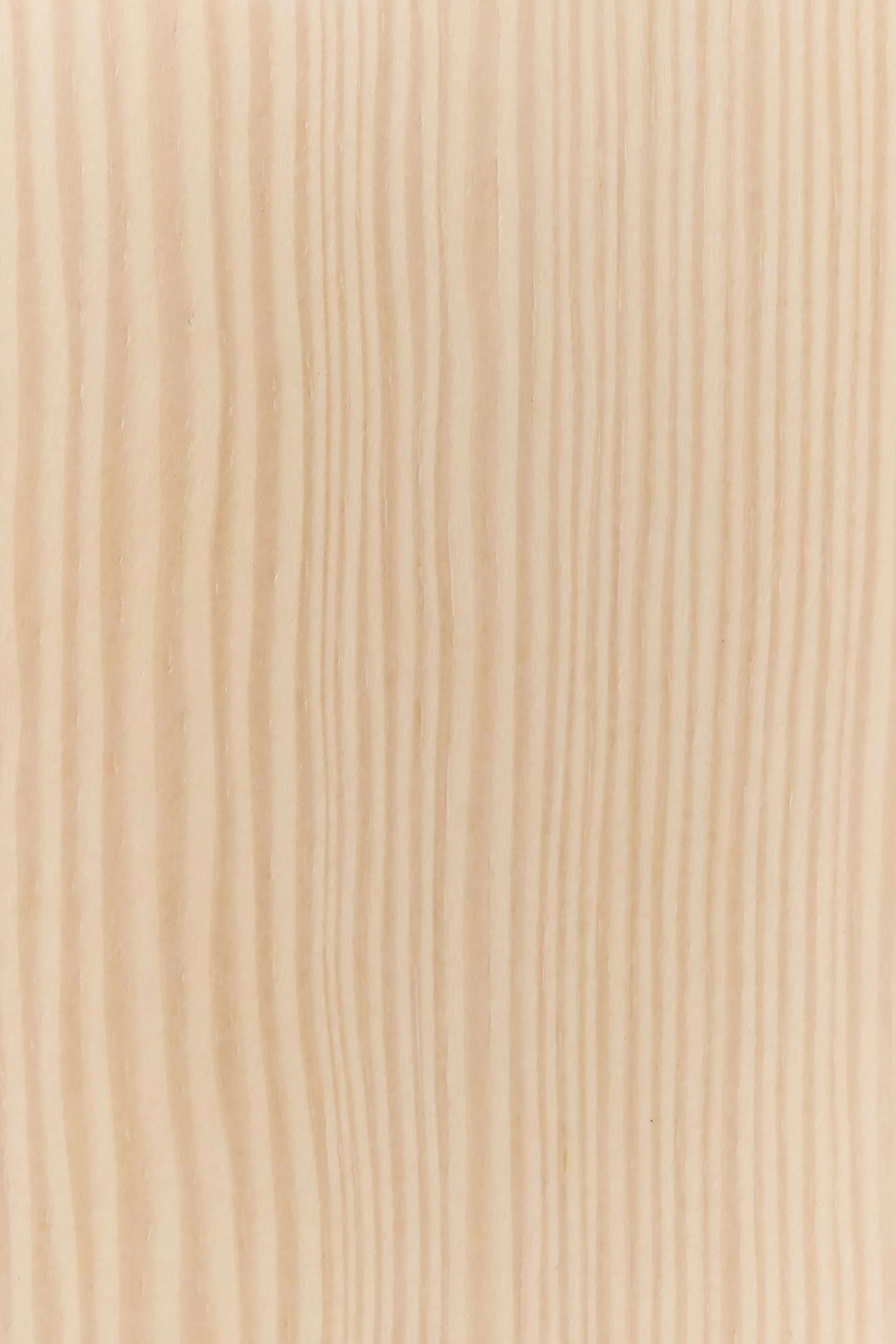 Wieszak ścienny na ubrania Tree Wall Special Edition 134 cm, Sosna bielona Swedese