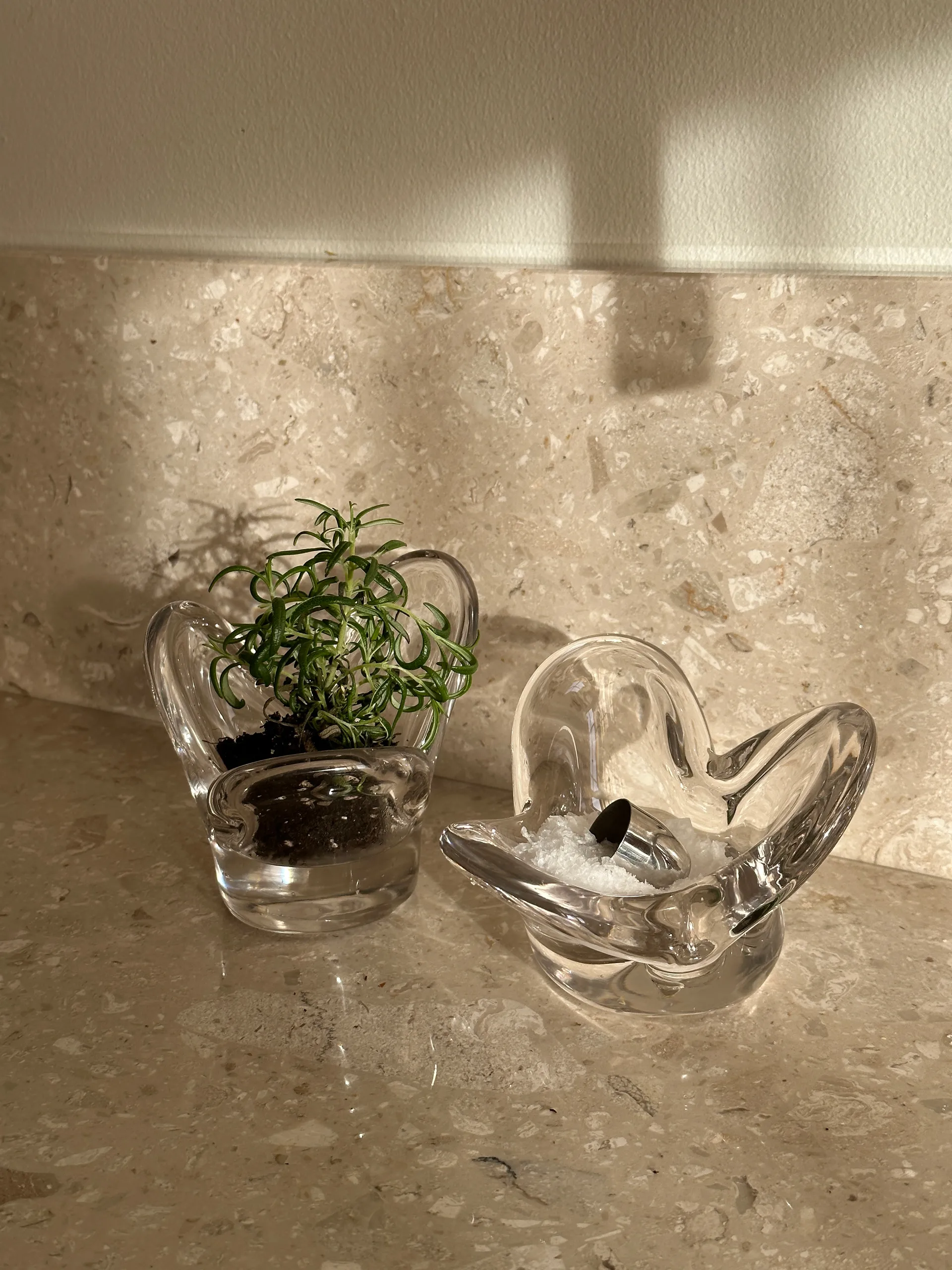 Lampion Visser, Clear Tinted