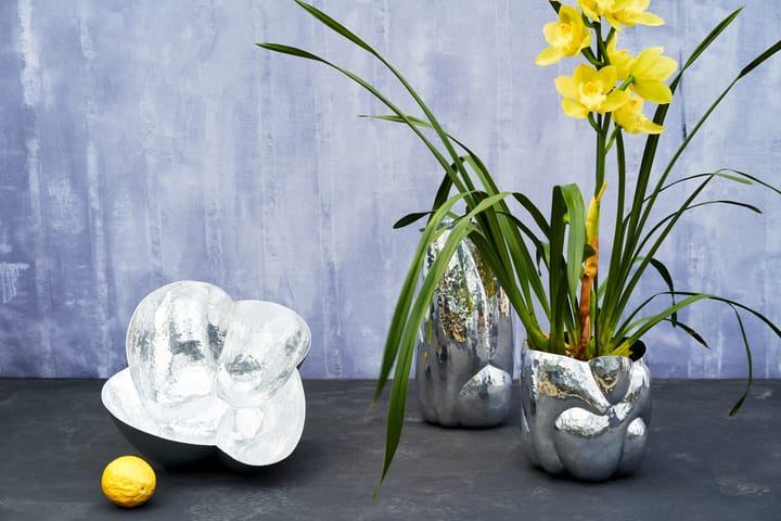 Miska Cloud, Srebrny Tom Dixon