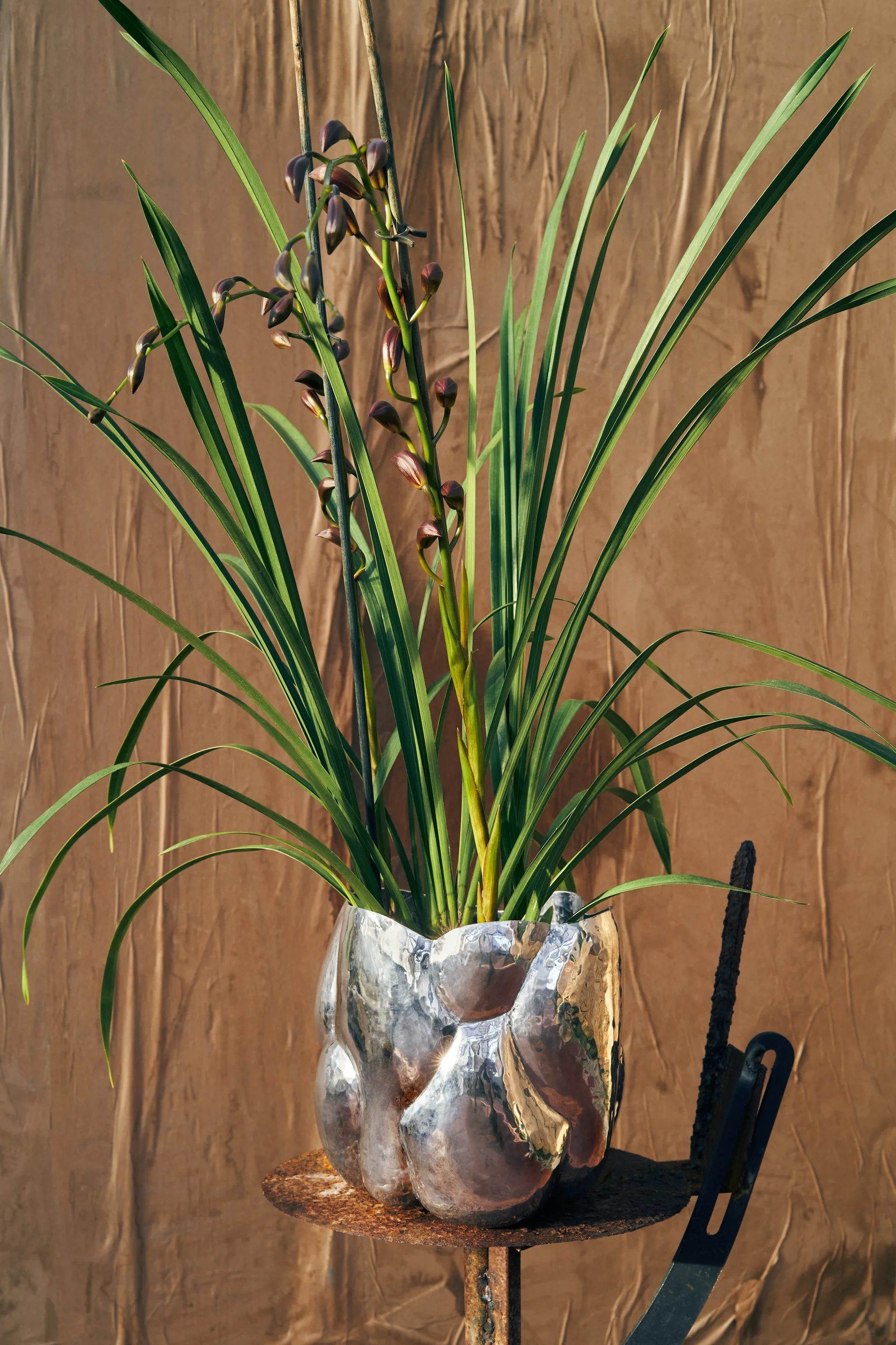 Niski wazon Cloud, Srebrny Tom Dixon