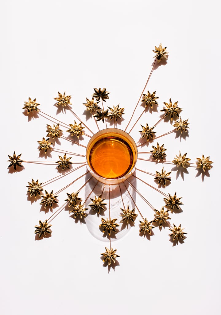 Szklanki do whiskey Tank 300 ml 2-pak, Przezroczysty-miedziany Tom Dixon