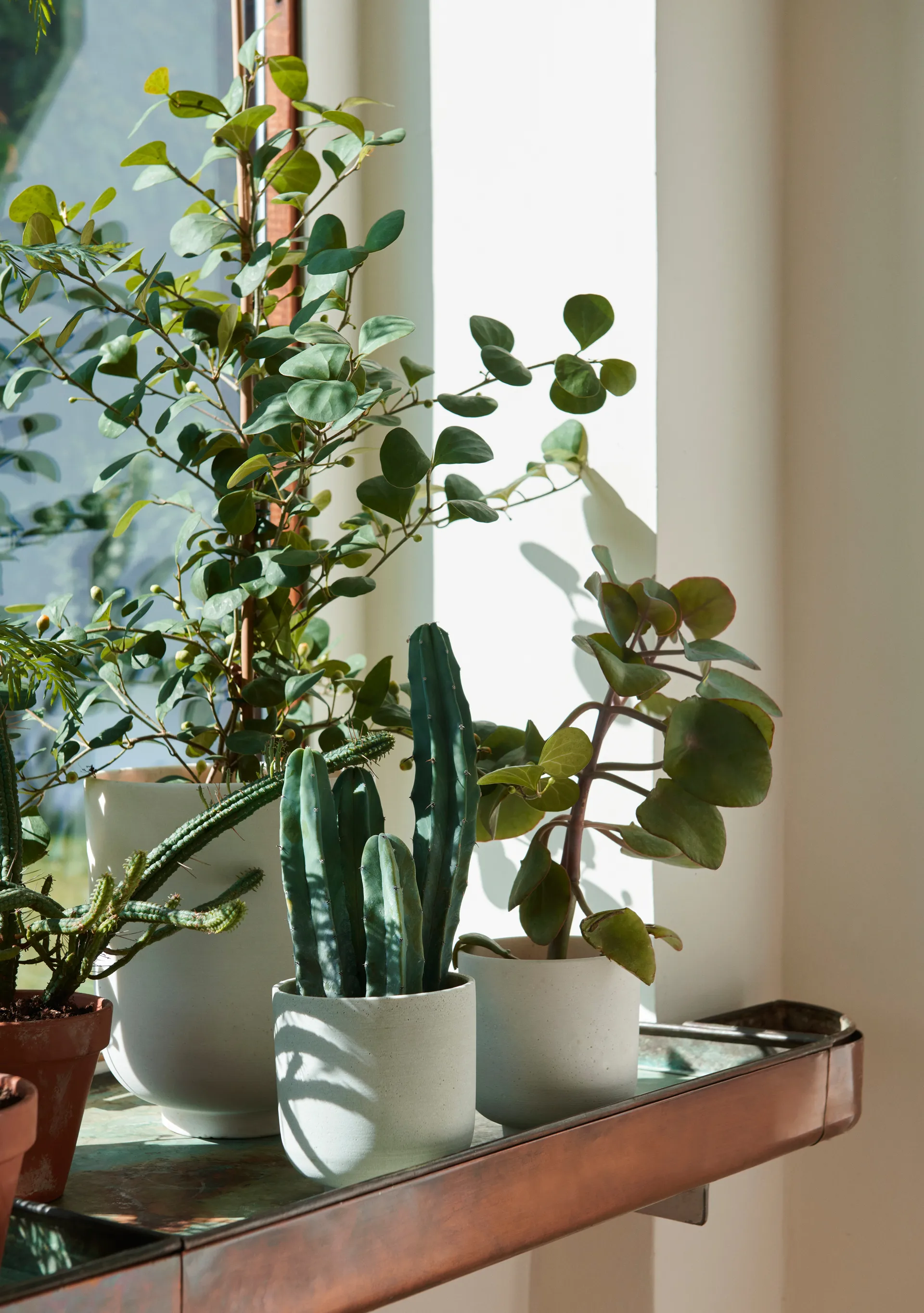 Doniczka Collect SC72 tall Ø20 cm, Milk &Tradition