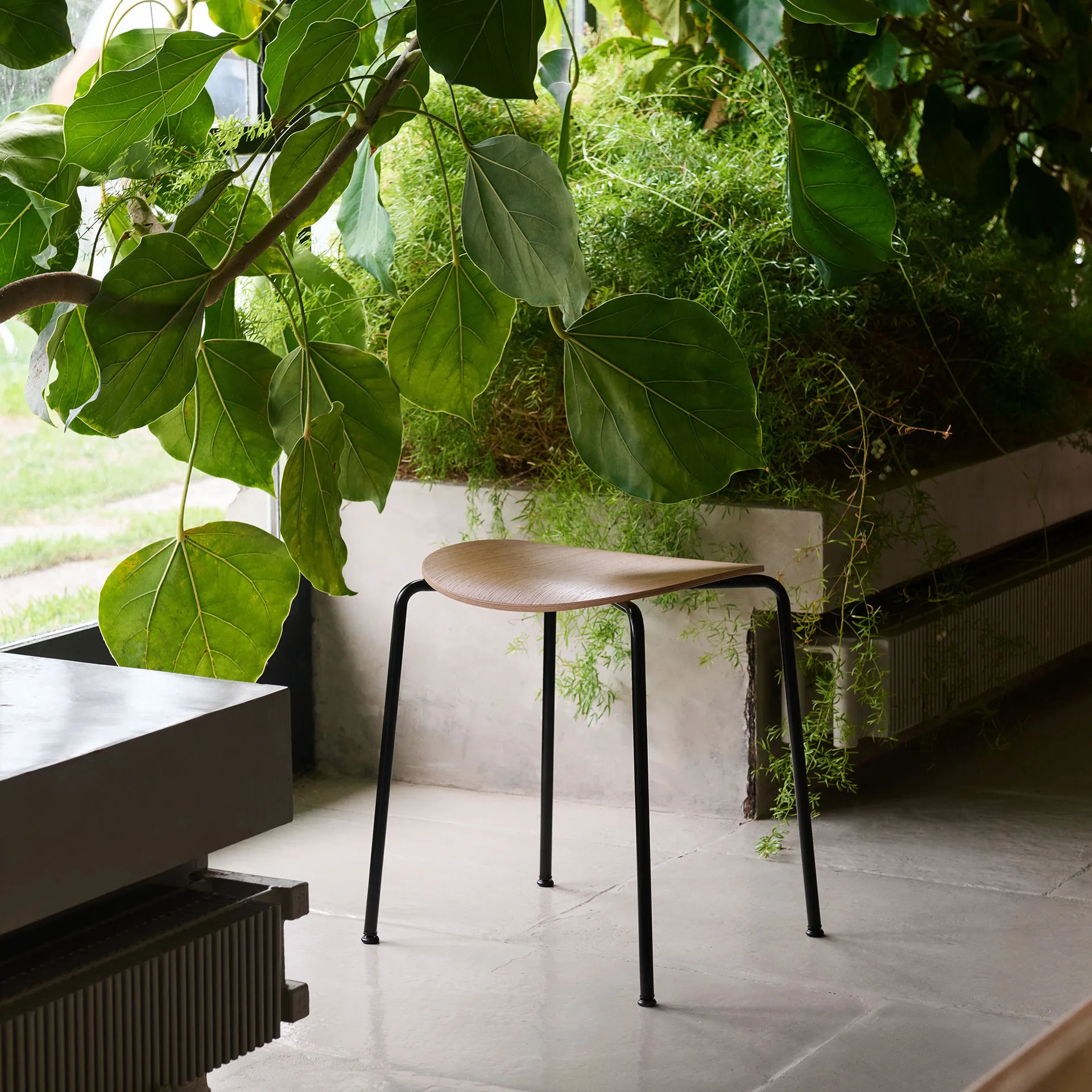 Pavilion AV36 taboret, Black-lacquered oak &Tradition