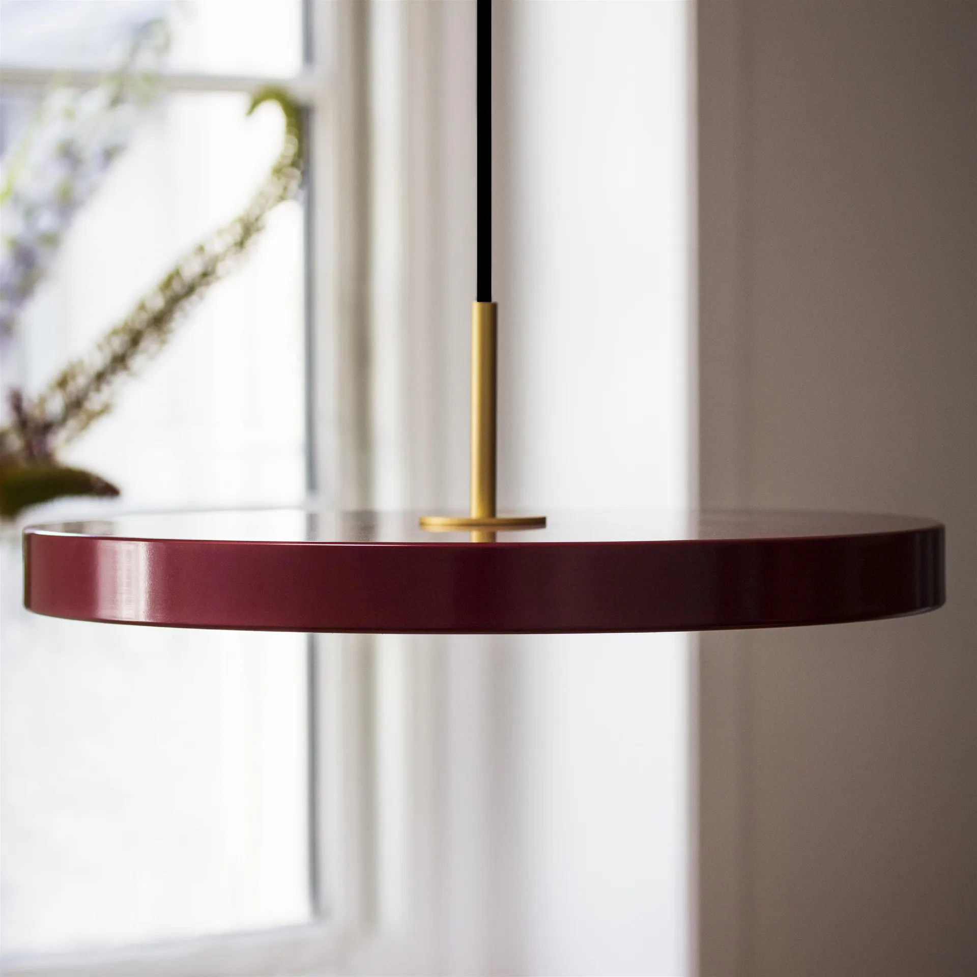 Lampa wisząca Asteria, Ruby red Umage