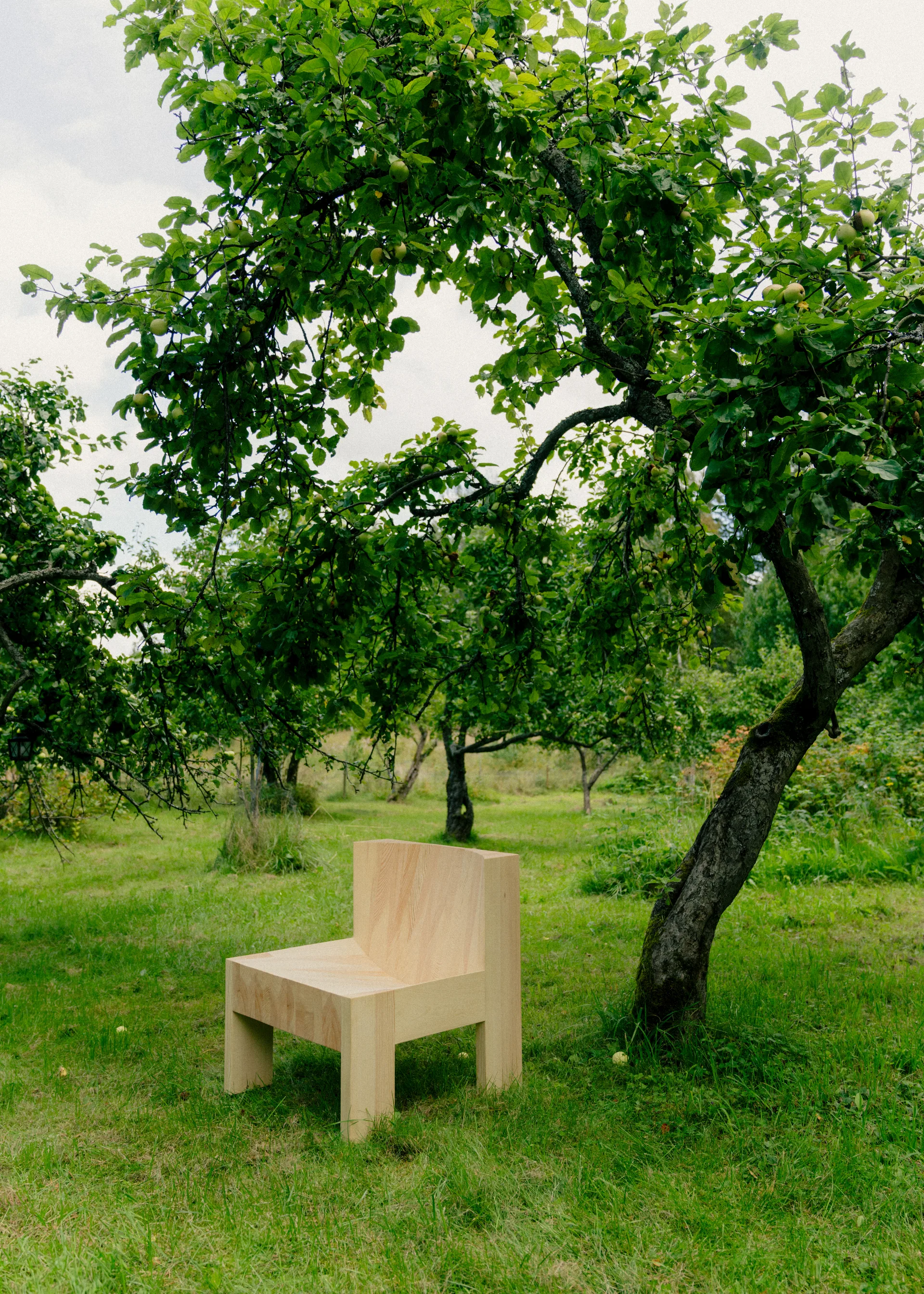 Fotel lounge 005 Lounge Chair, Sosna olejowana i woskowana, matowe Vaarnii