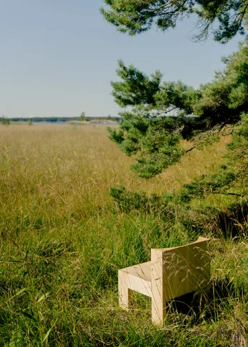 Fotel lounge 005 Lounge Chair - Sosna olejowana i woskowana, matowe - Vaarnii