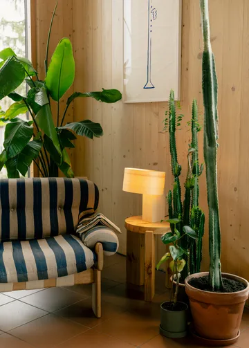 Lampa stołowa 018 Hoop Table Lamp - Sosna olejowana i woskowana, matowe, 23 cm - Vaarnii