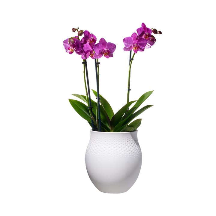 Wazon Collier Blanc Perle, duży Villeroy & Boch