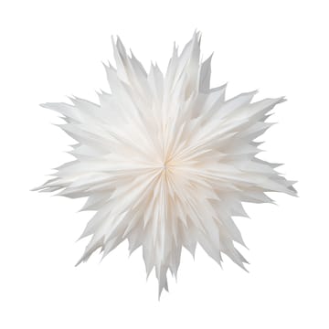 Gwiazda świąteczna Oslo Ø60 cm - Biały - Watt & Veke