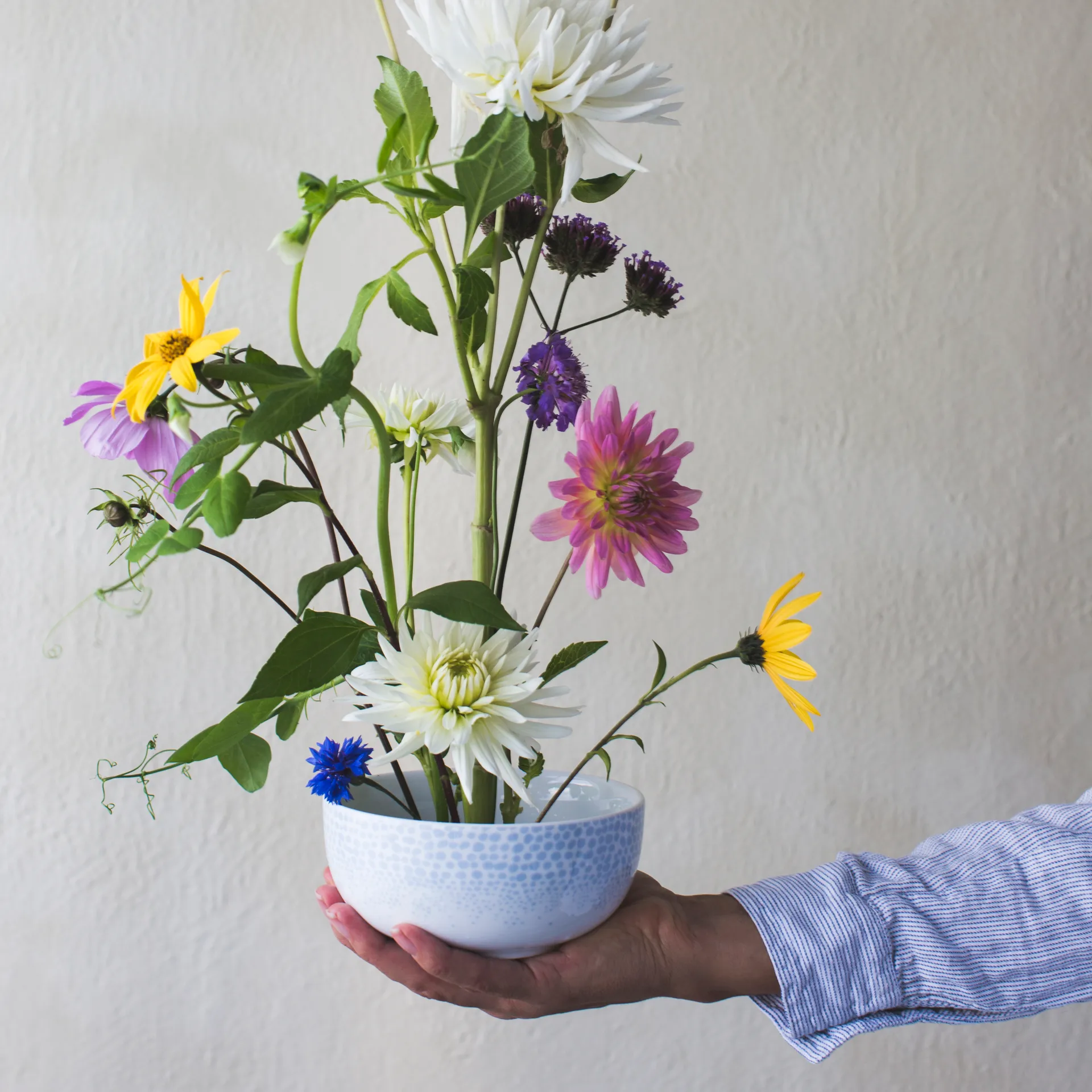 Miska Osean 50 cl, Ocean Wik & Walsøe