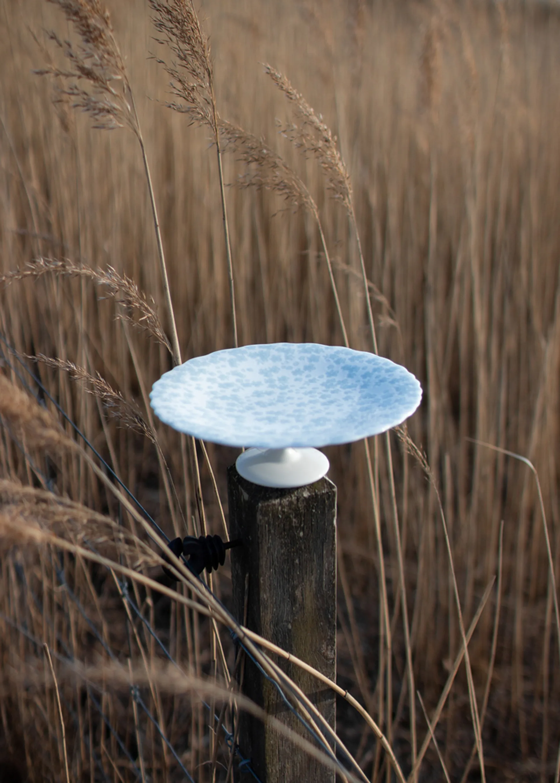 Półmisek na ciasto Slåpeblom Ø21 cm, Niebieski Wik & Walsøe