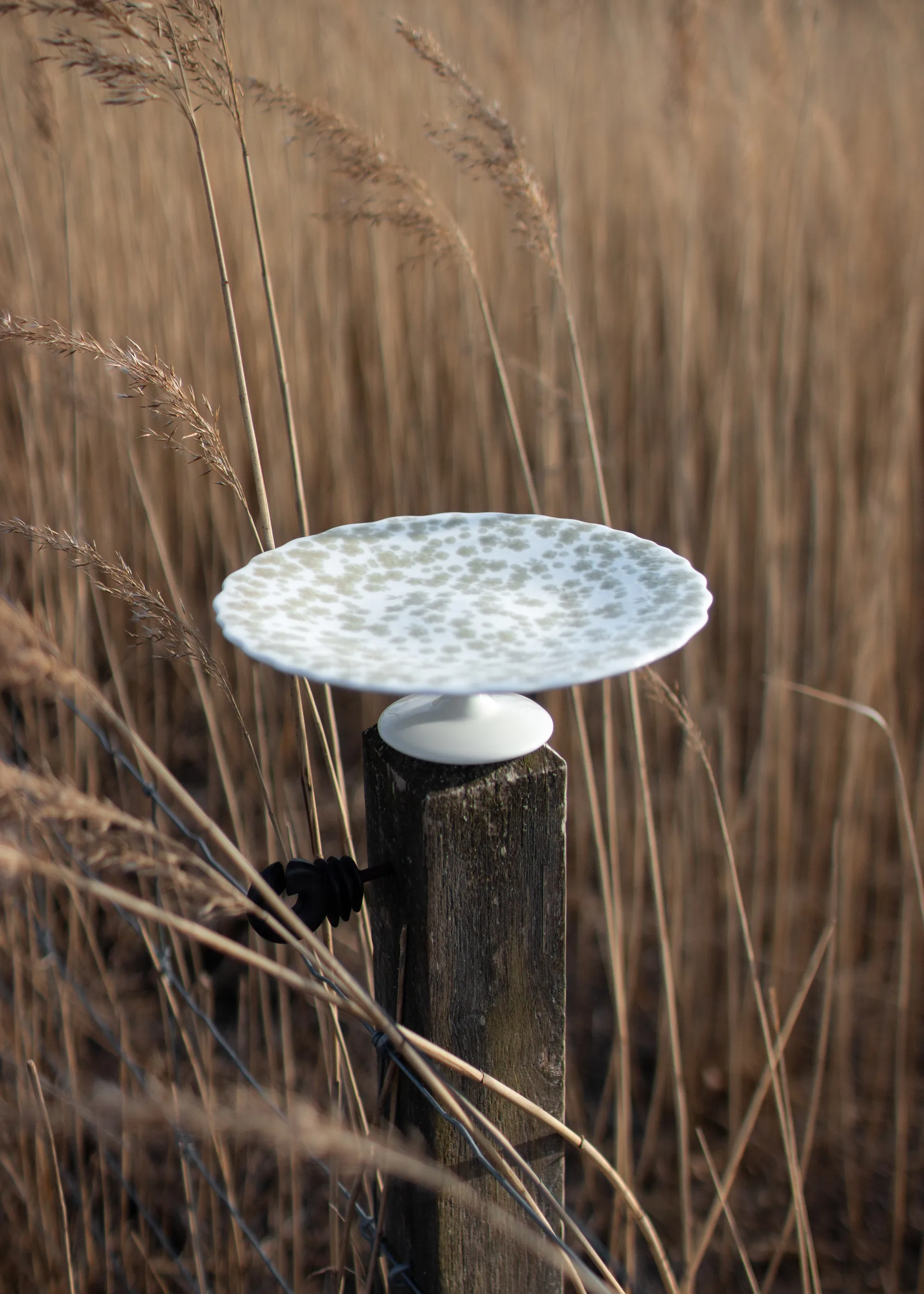 Półmisek na ciasto Slåpeblom Ø21 cm, Zielony Wik & Walsøe