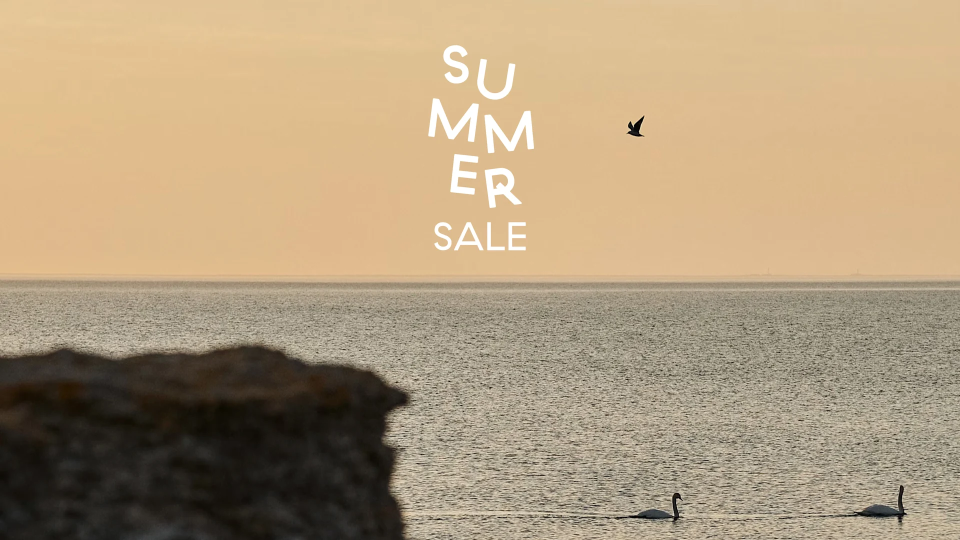 Napis 'Summer Sale' nad spokojną sceną oceanu z dwoma pływającymi łabędziami i ptakiem latającym pod ciepłym niebem.