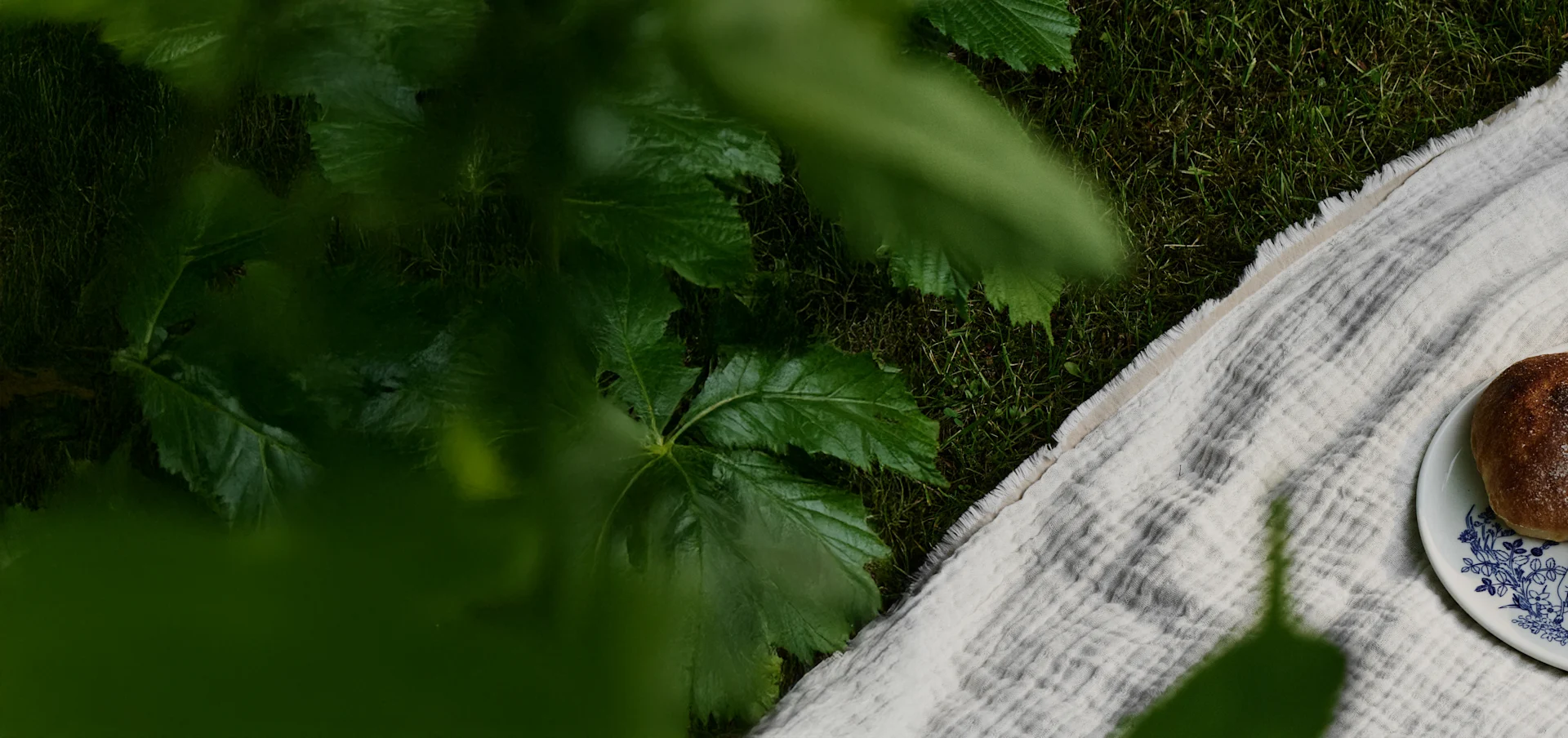 Widok z góry na koc piknikowy na trawie pod zielonymi liśćmi, z talerzem zawierającym brązową pieczoną bułkę.